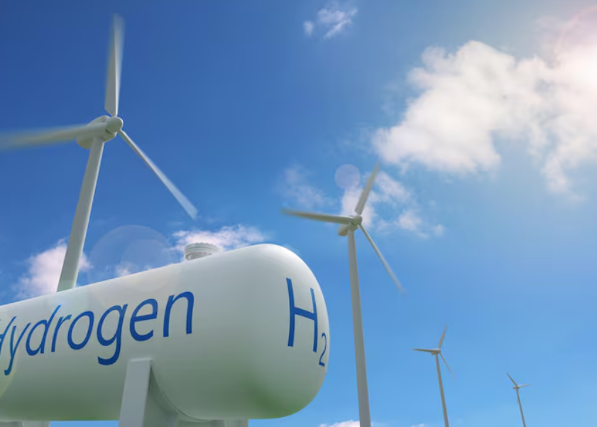 某核电集团安全生产尽职调查服务项目