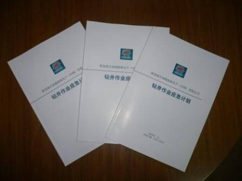 新加坡石油《钻井作业应急计划》圆满完成